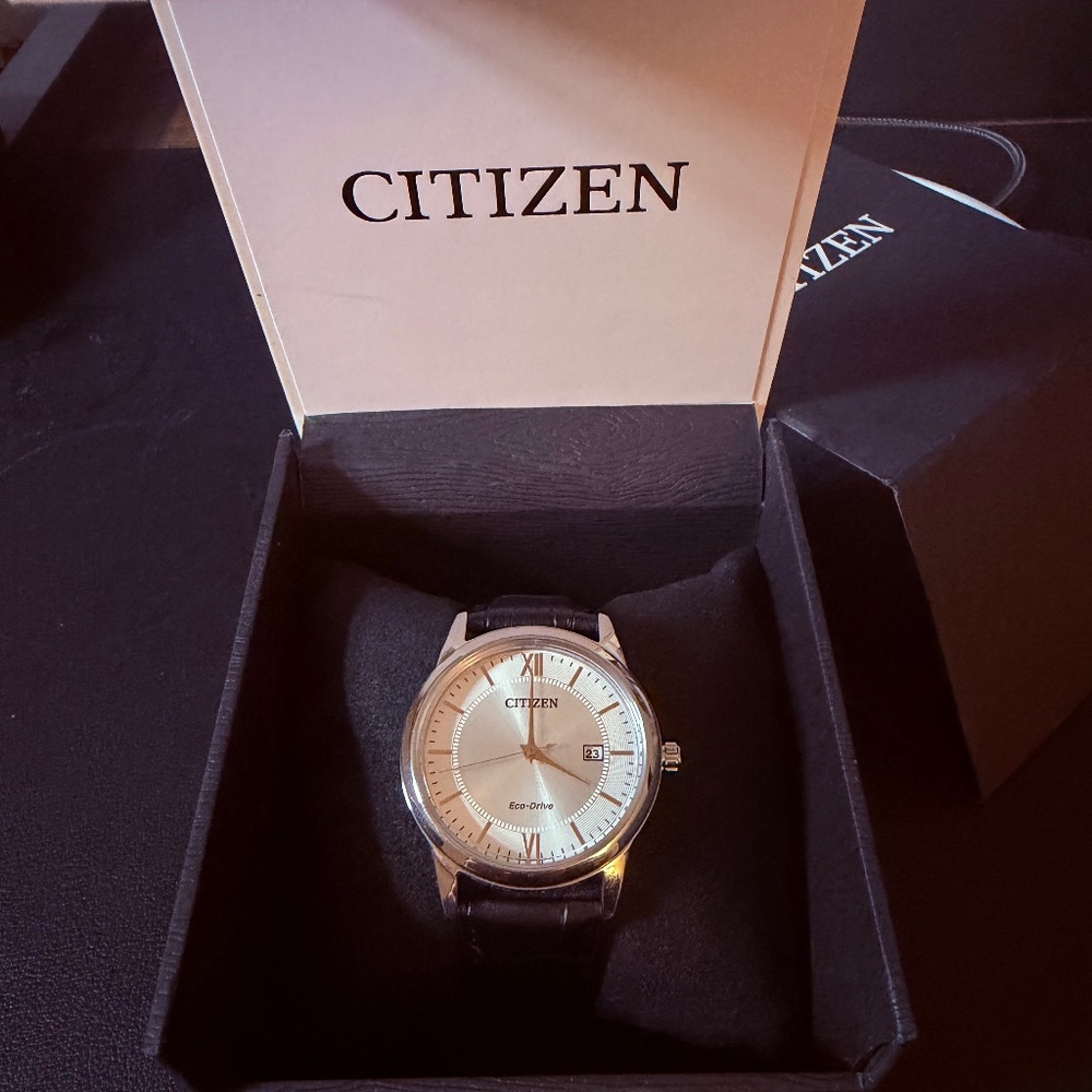 Citizen Eco-Drive (White/Rose Gold, Black Leather Strap)